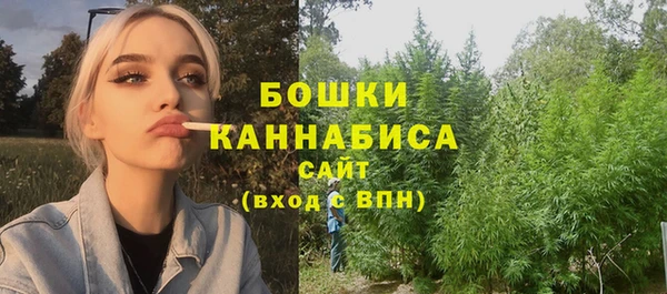 Альфа ПВП Богородицк