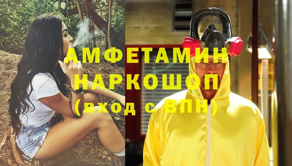 сатива Богданович